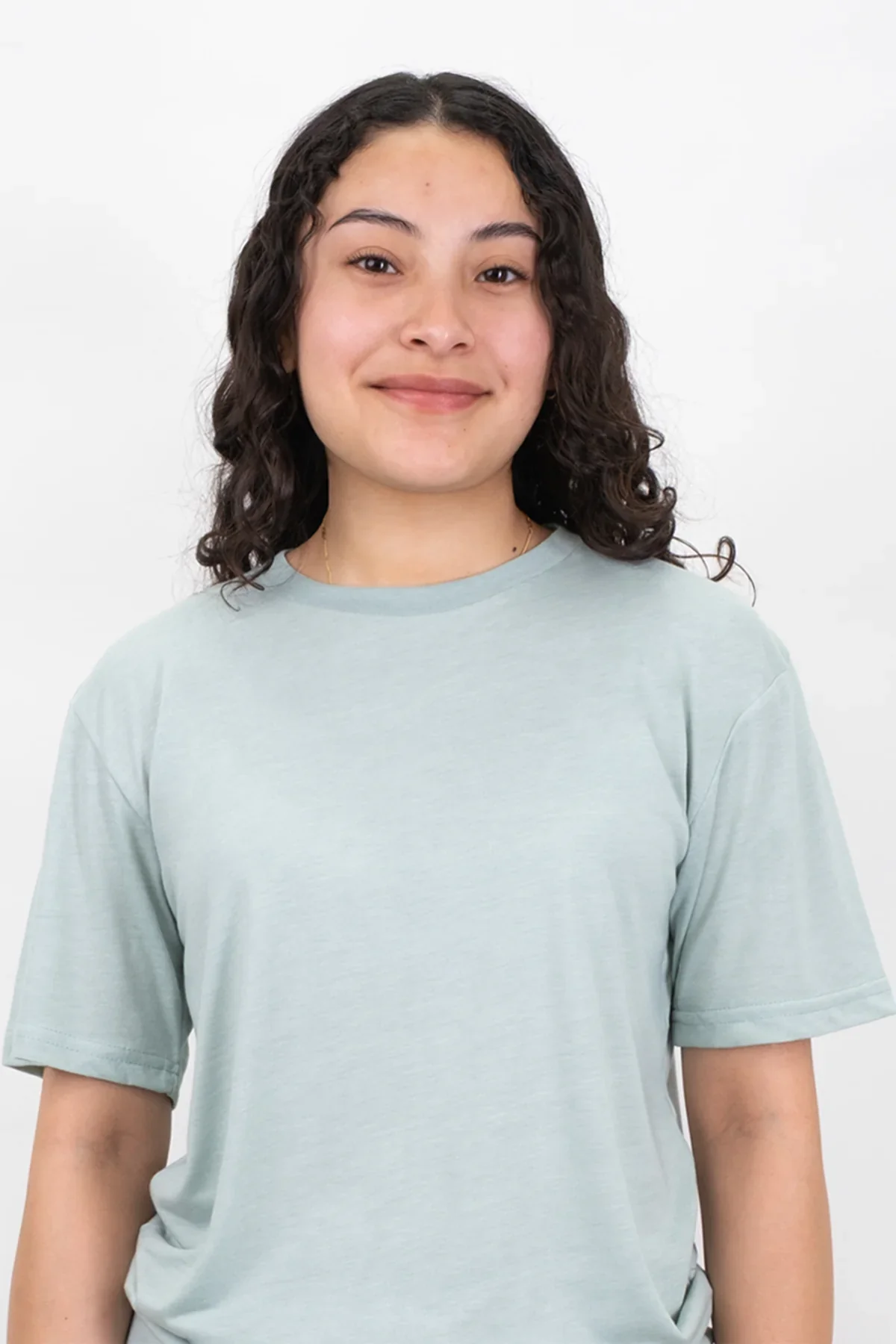 Laviva Adult Premium Crew Neck T-shirt - Image 35